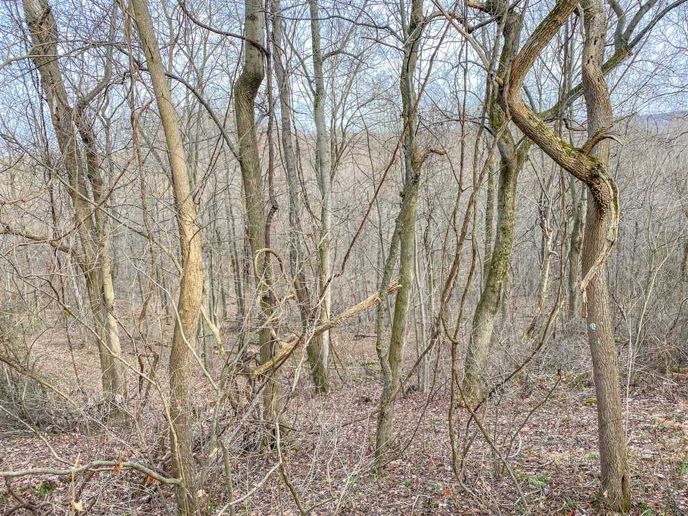 257 Acres of Recreational land for sale in Smithton, westmoreland County, Pennsylvania