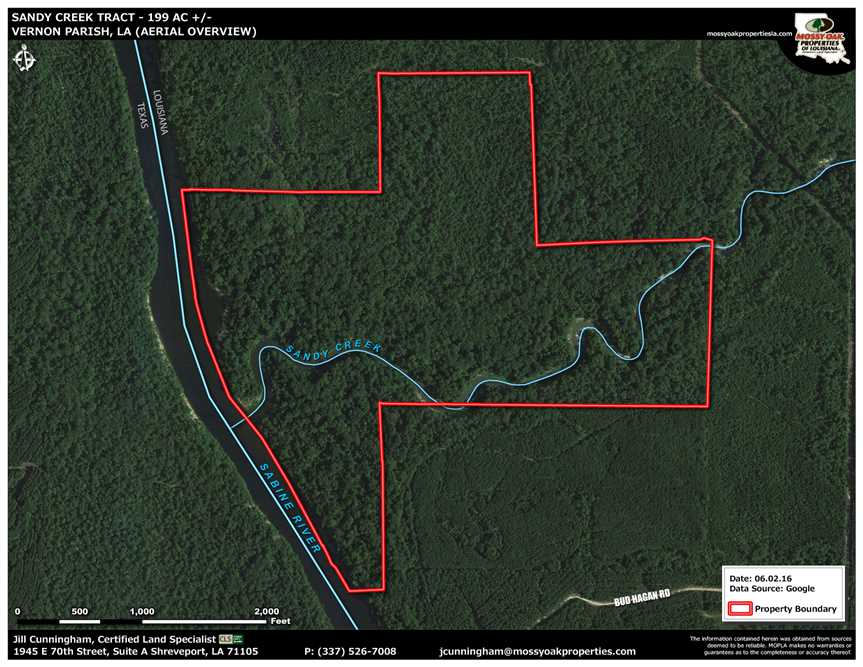 Sandy Creek Tract, Vernon Parish, 199 Acres +/- Real estate listing