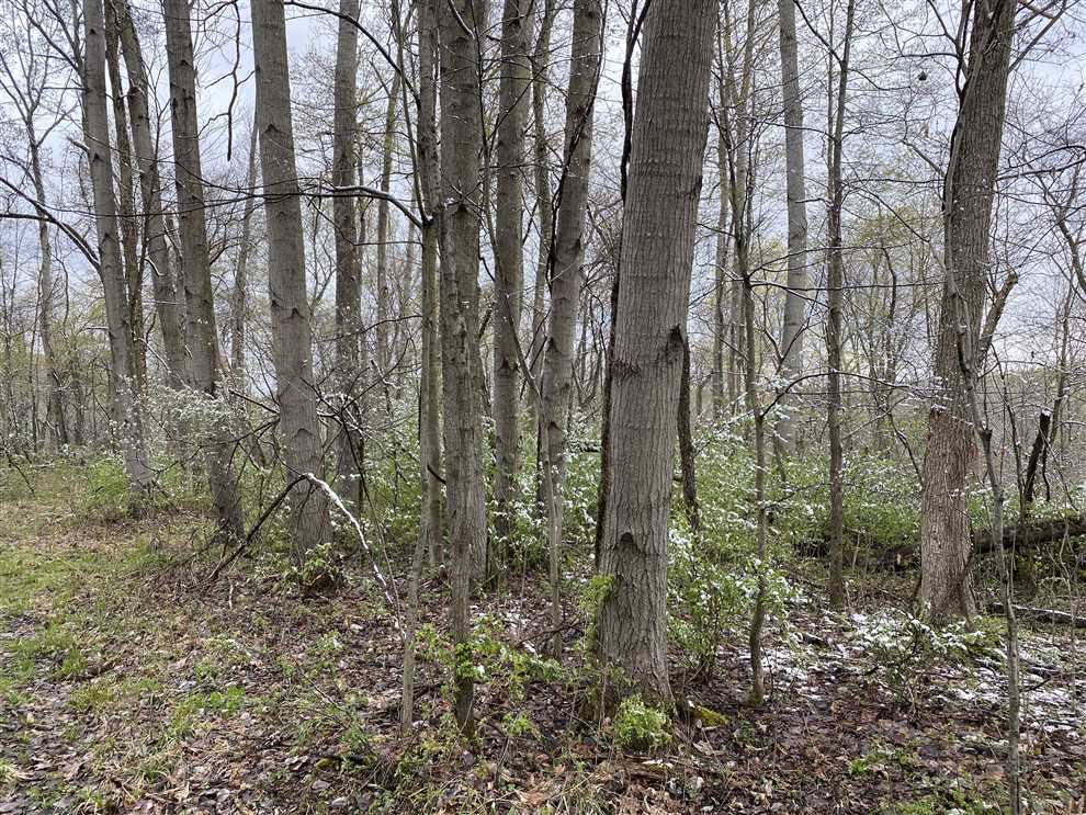 Land for sale to buy in 15057 zip code