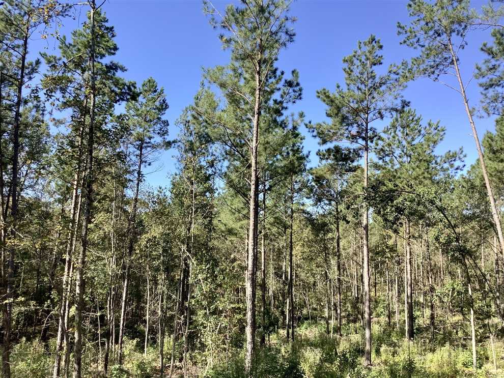 caddo County, Louisiana property for sale