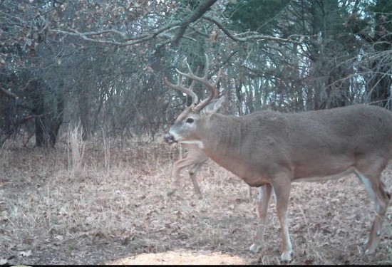 160 Acres of Land for Sale in chautauqua County Kansas