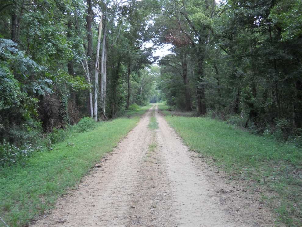 Farmland real estate available to buy