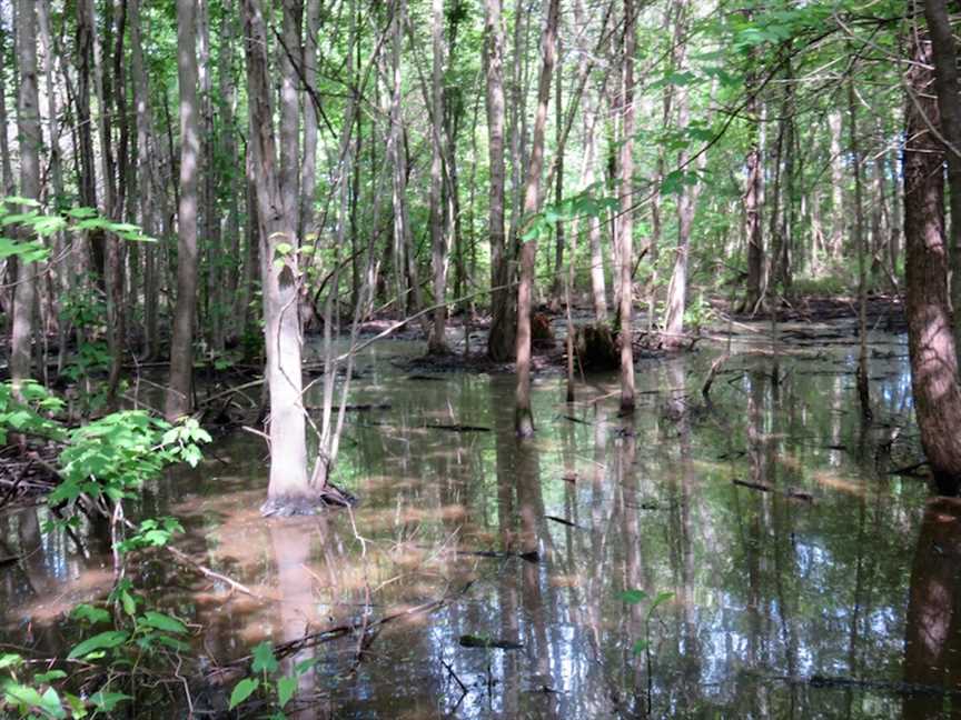 Houses and land for sale in Louisiana