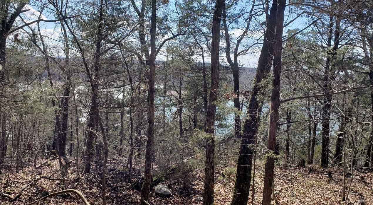 Property for sale at Horseshoe Bend Road