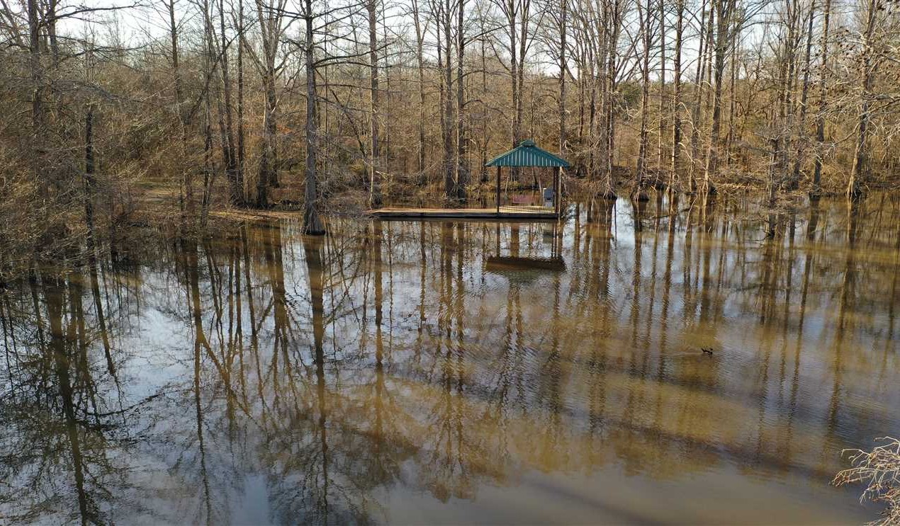 321 Acres of Monroe County, MS Hunting and Recreational Paradise Real estate listing