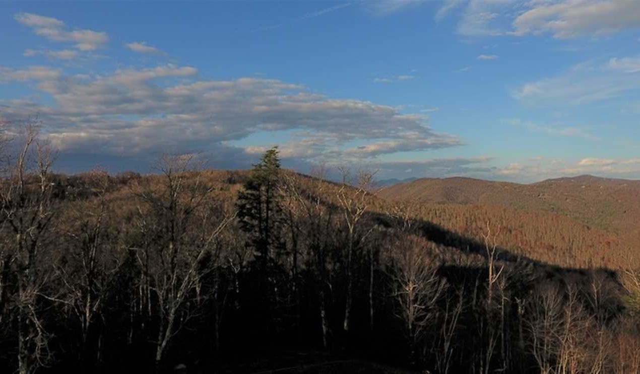 Property for sale at 00 Wintergreen Patch Lane