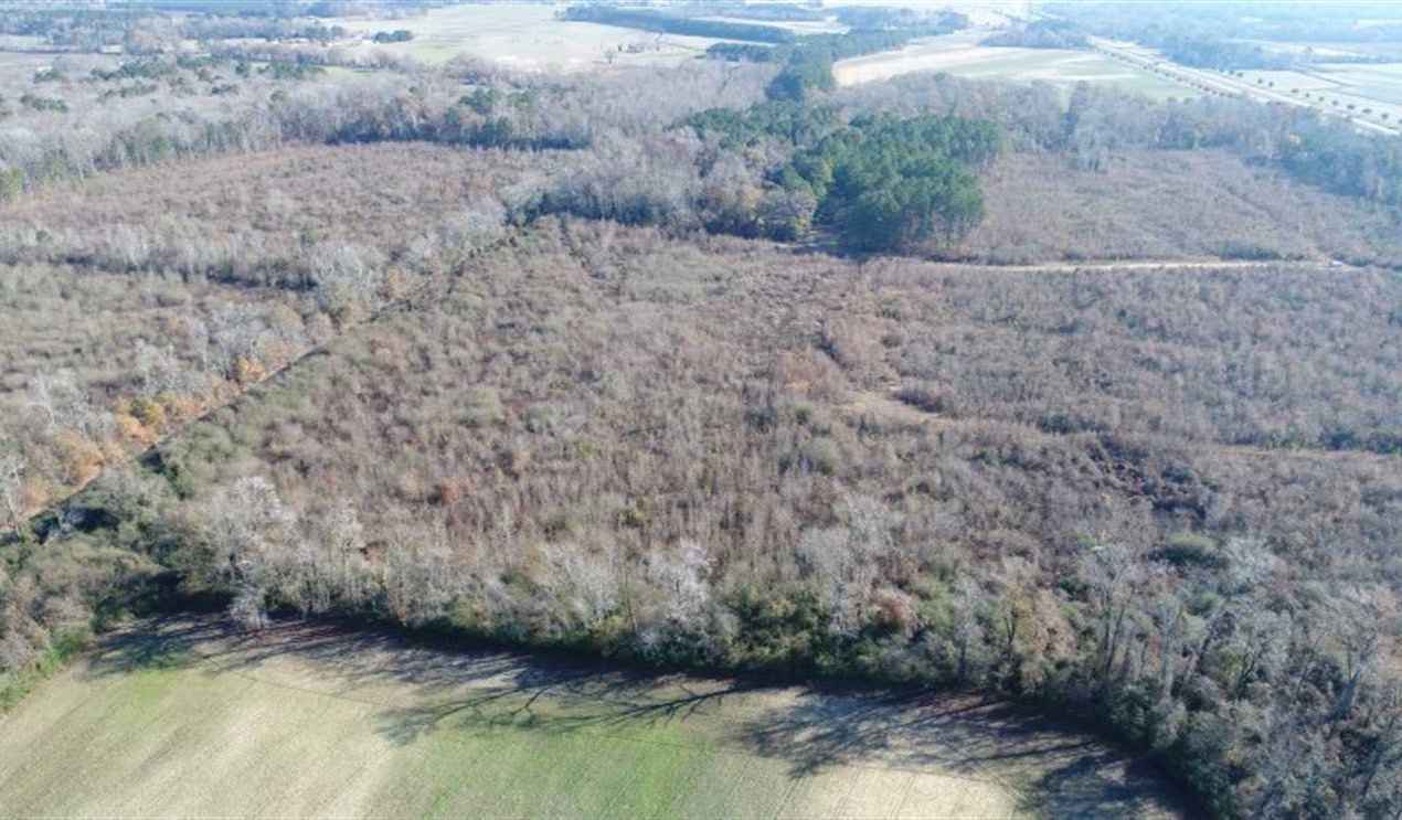 93 Acres of Commercial Development and Hunting Land For Sale in Pitt County NC! Real estate listing