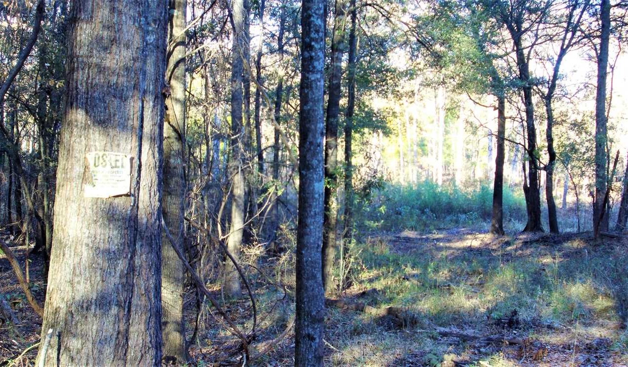 283 Acres of Recreational land for sale in Haughton, bossier County, Louisiana