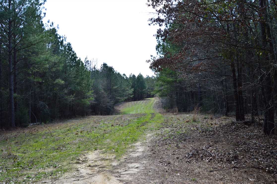 Property for sale at