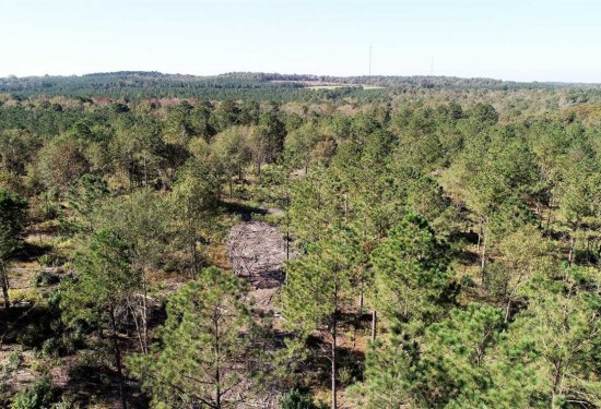 45 Acres of Land for Sale in caddo County Louisiana
