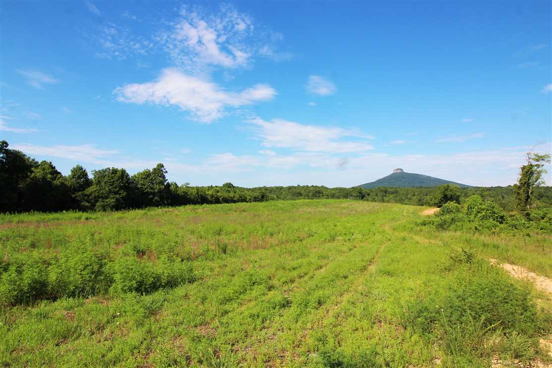 110.97 Acres of Land for sale in stokes County, North Carolina