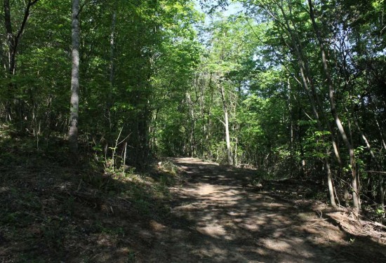 112 Acres of Land for Sale in hart County Kentucky