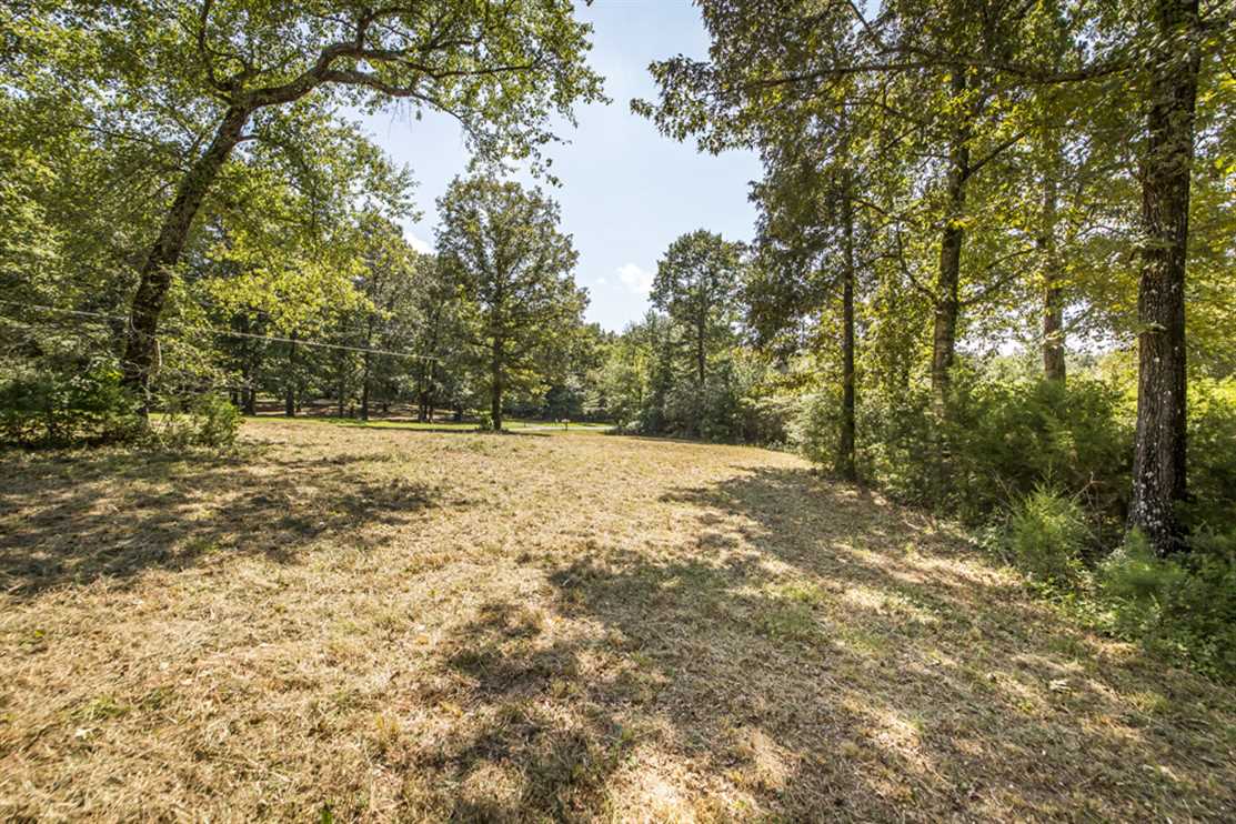 5 Usable Acres w/ A Creek ! Real estate listing