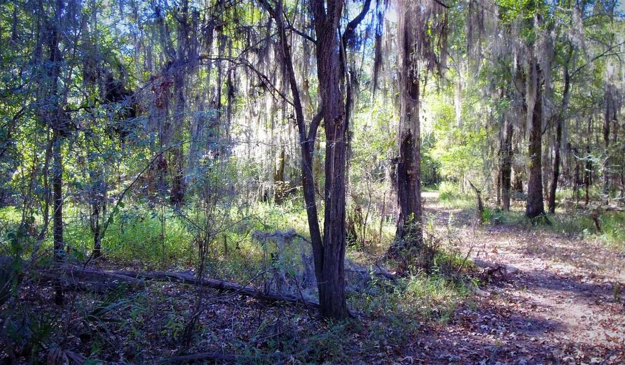 320 Acres of Land for Sale in webster County Louisiana