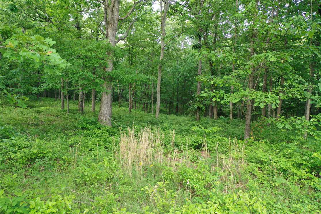 Intimate 5.01 Acre lot, hardwood treed lot minutes from I-40 and Kentucky Lake! Real estate listing
