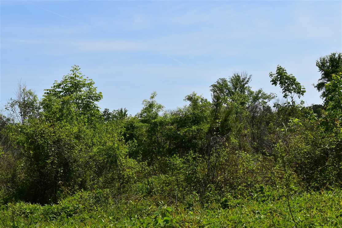 Recreational and   property for sale on The Land Market