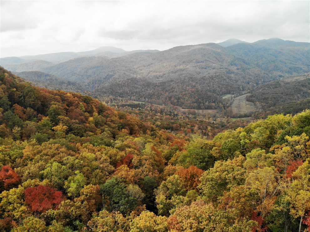 20.32 Acres of Land for sale in buncombe County, North Carolina
