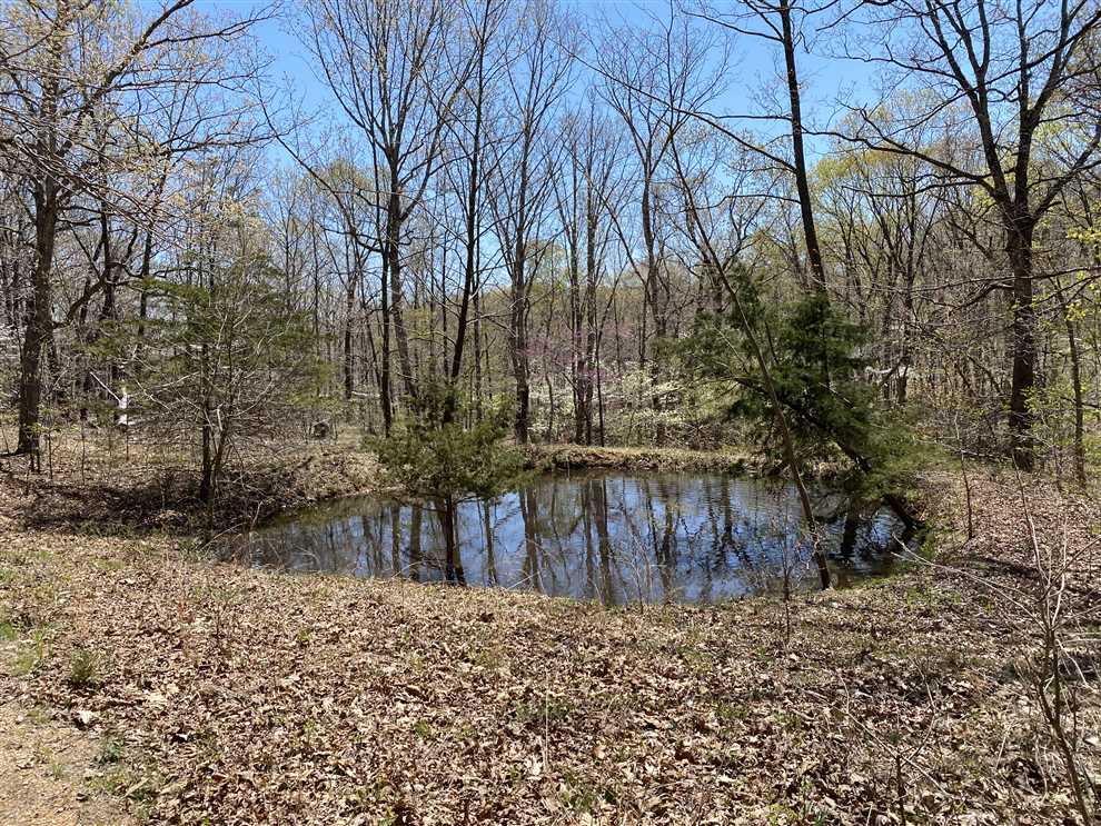 Recreational tract consisting of 60 acres with creek, trails, and a 80x40 metal building. Real estate listing