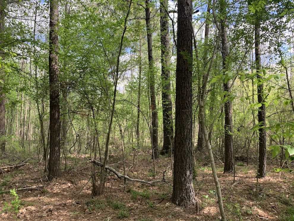 Land for sale at Off Reges Store Road