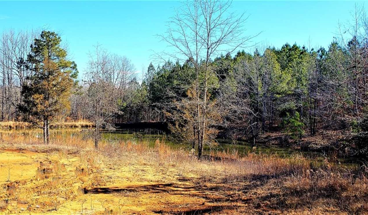 Houses and land for sale in Tennessee