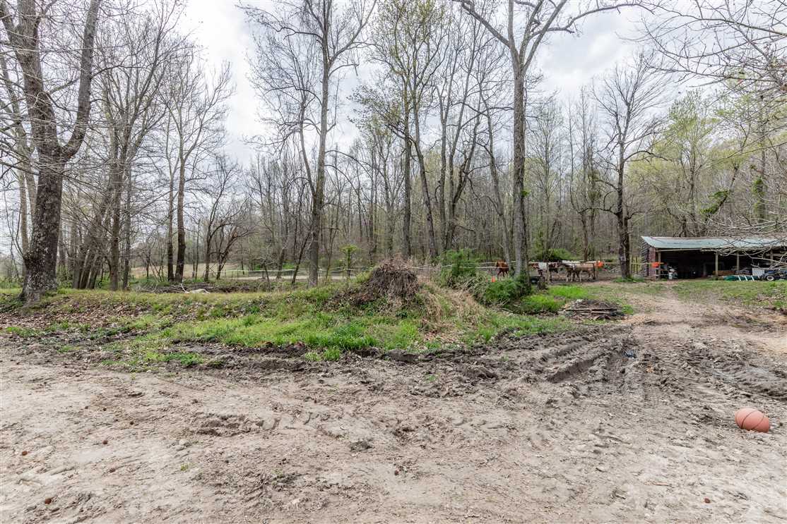 Residential and   property for sale on The Land Market