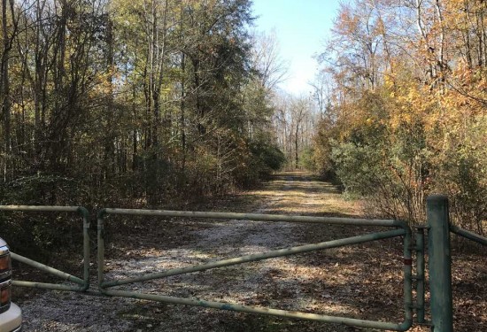 98 Acres of Land for Sale in tuscaloosa County Alabama