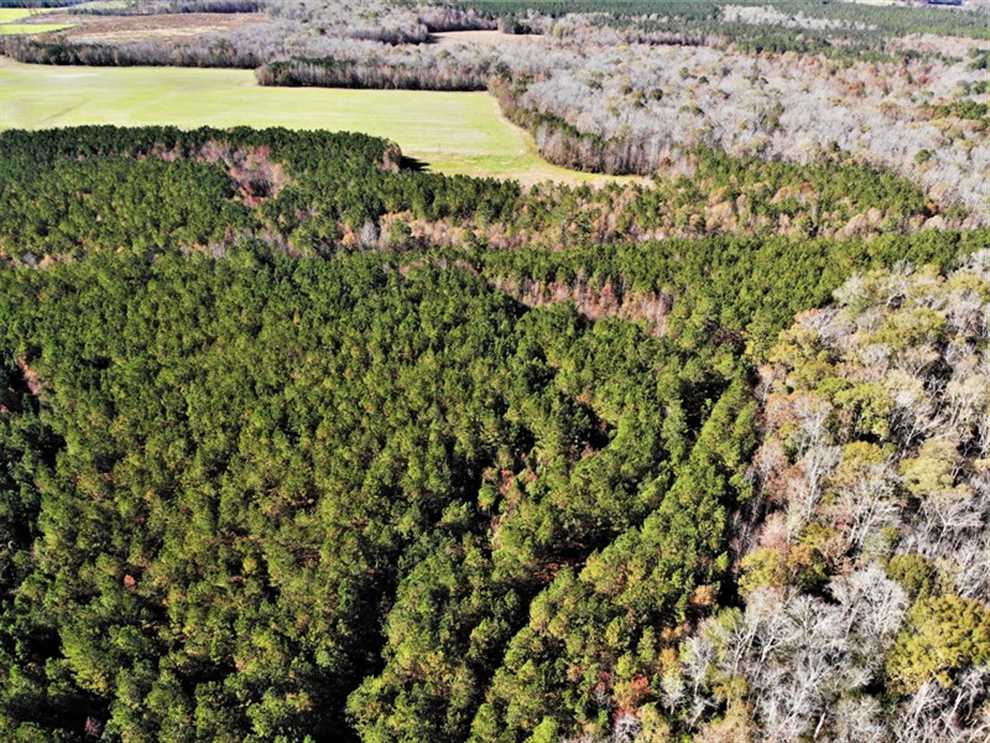 302 Acres of Land for sale in sussex County, Virginia