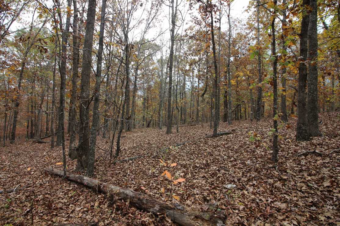 Recreational and   property for sale on The Land Market