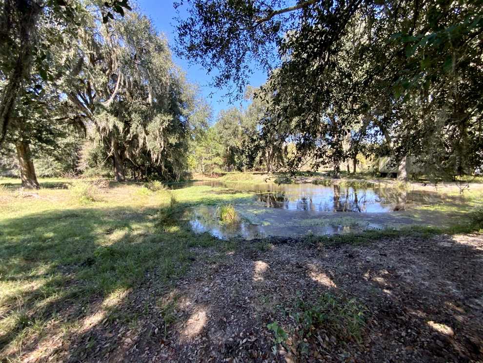 madison County, Florida property for sale