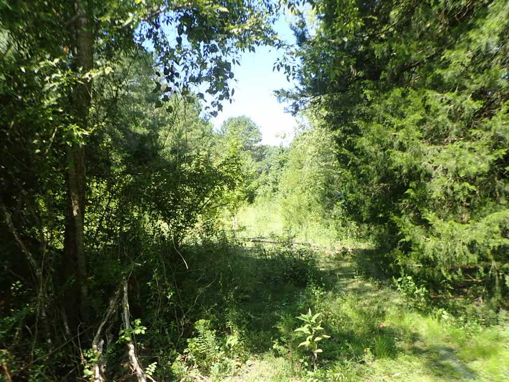 23.63 Acres of Residential land for sale in Starkville, oktibbeha County, Mississippi