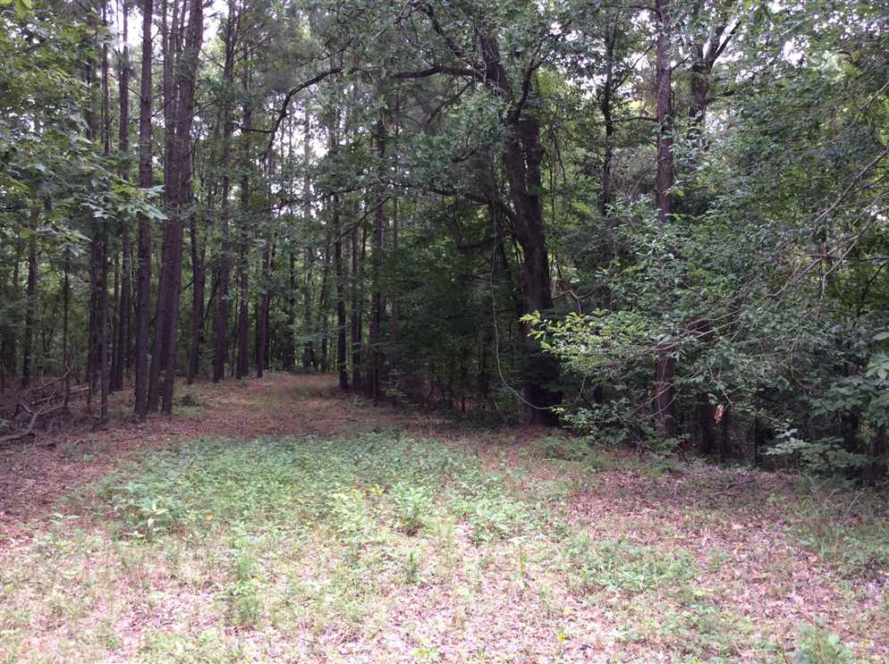 catahoula County, Louisiana property for sale