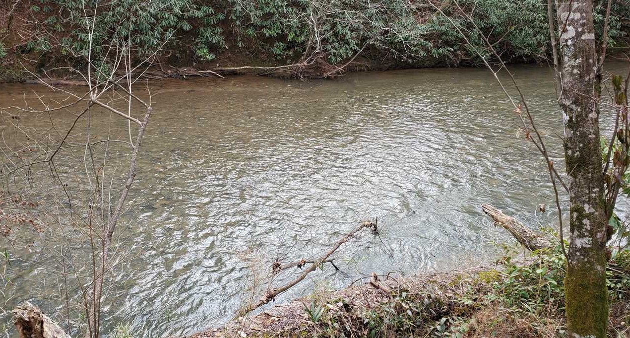 144+/- acres in Casar, Rutherford County Real estate listing