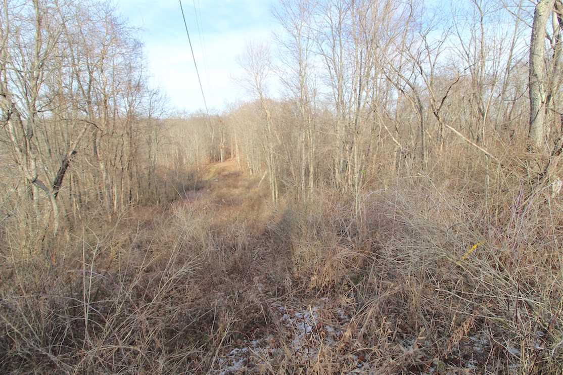 Hook Rd - 10 acres - Guernsey County Real estate listing