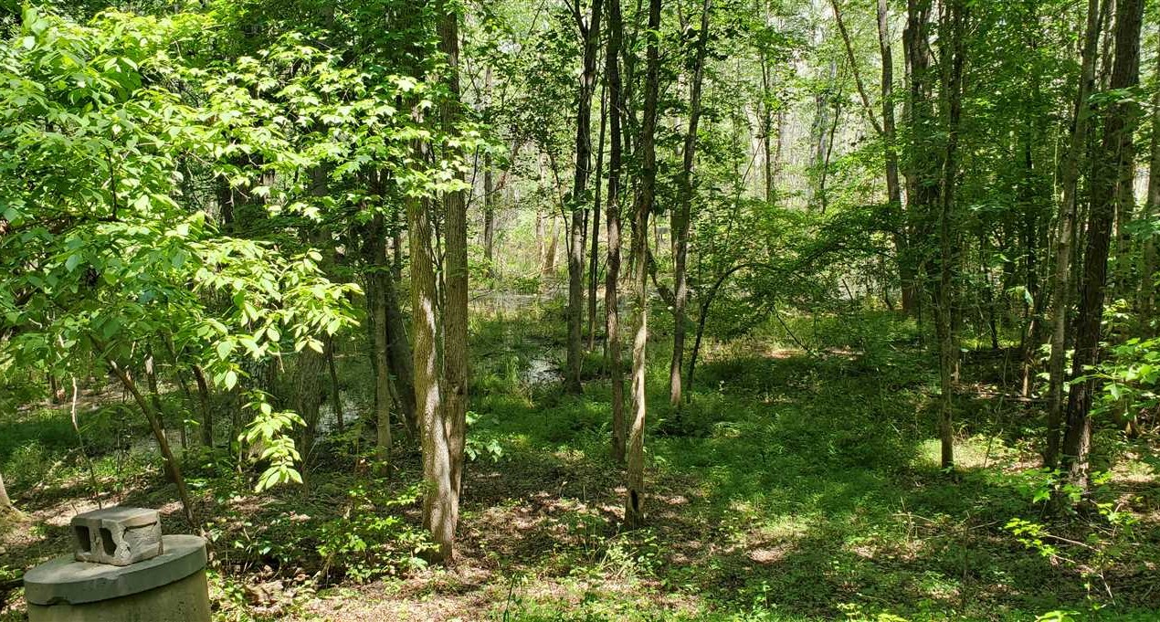 220 Acres of Residential land for sale in Forest City, rutherford County, North Carolina