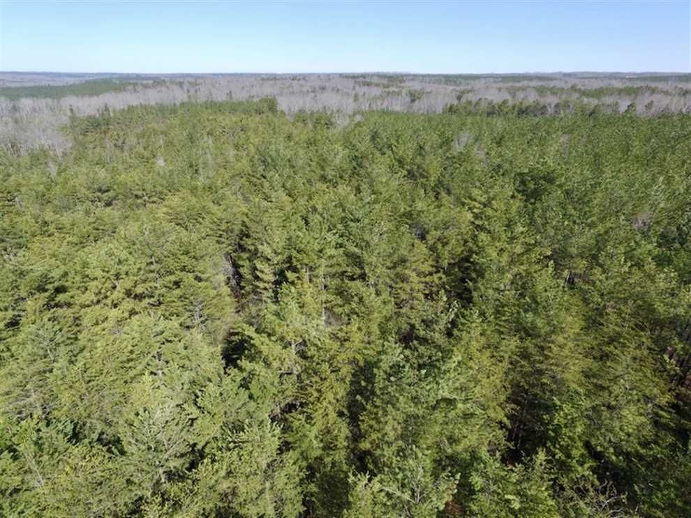 Land for sale to buy in 23954 zip code
