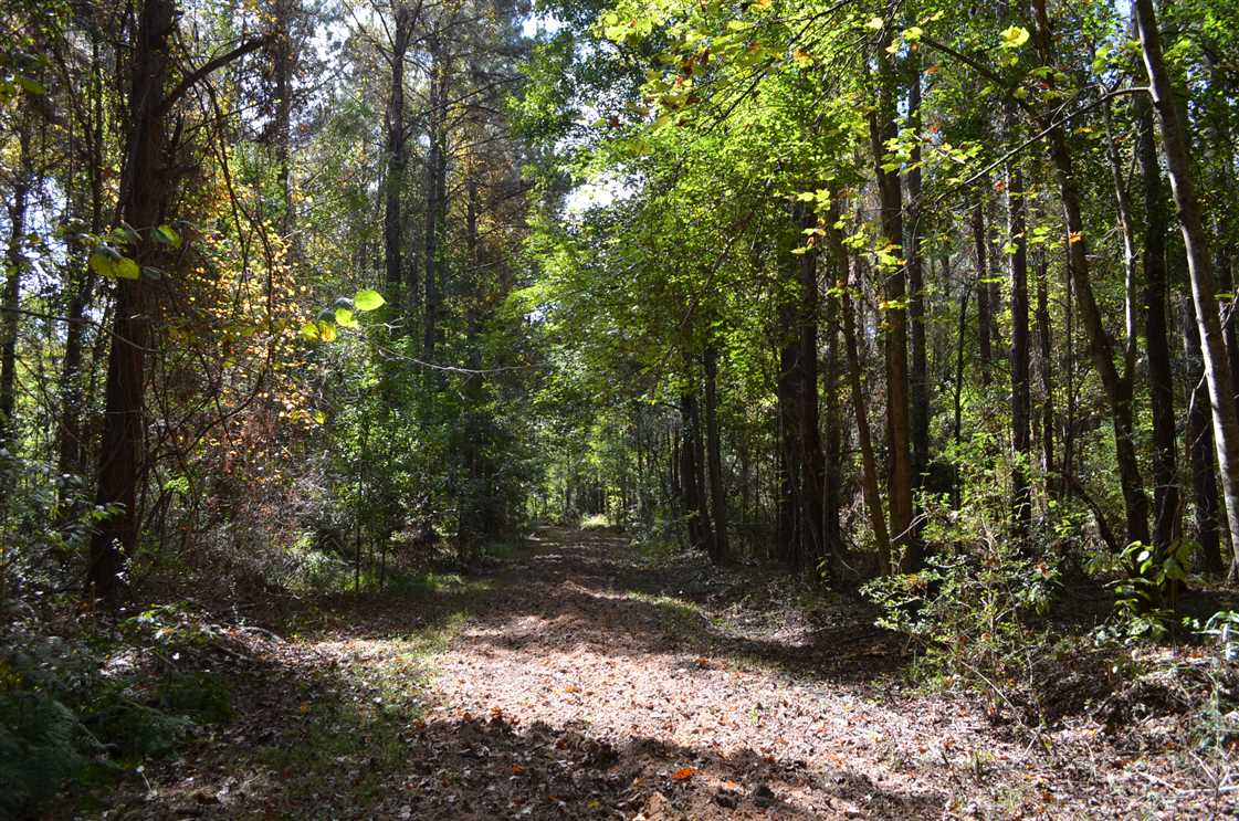 autauga County, Alabama property for sale