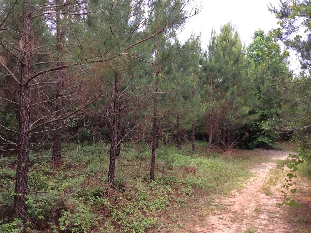 Property for sale at Gaars Mill Road