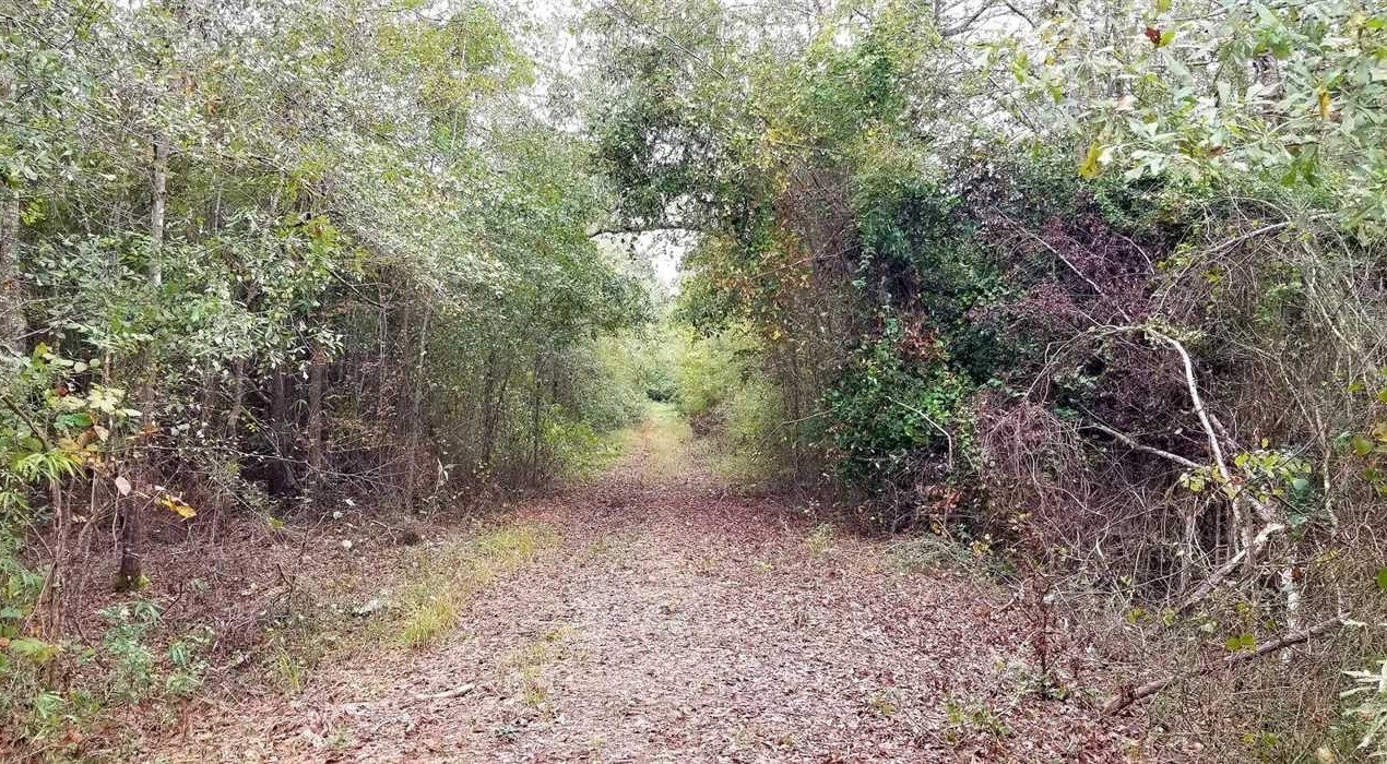 19 Acres of Recreational land for sale in Atlanta, winn County, Louisiana