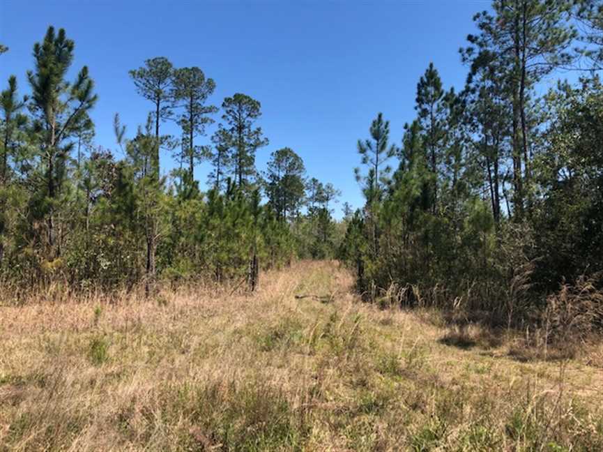 Recreational real estate available to buy