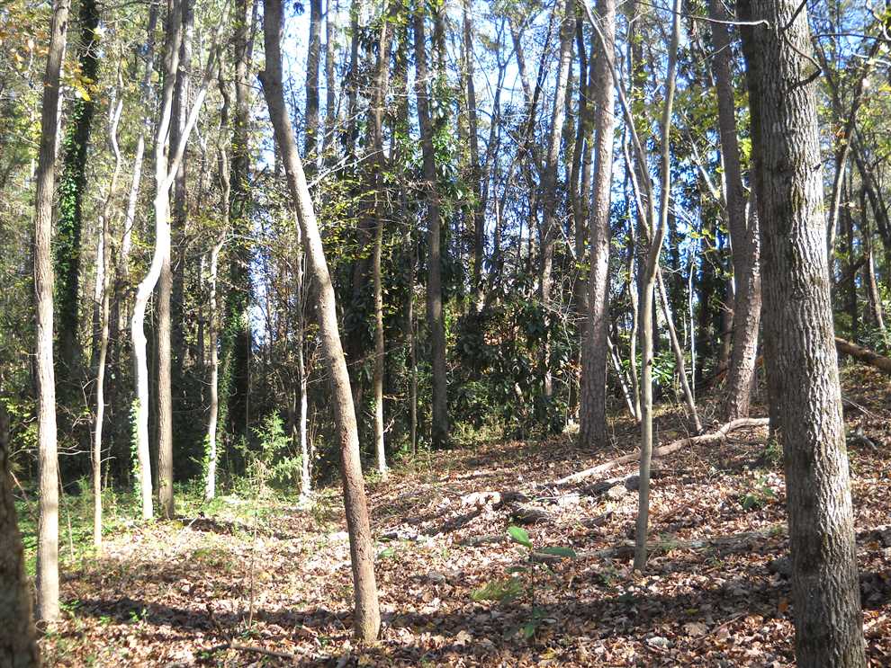 Land for sale at TBD Hillcrest Street
