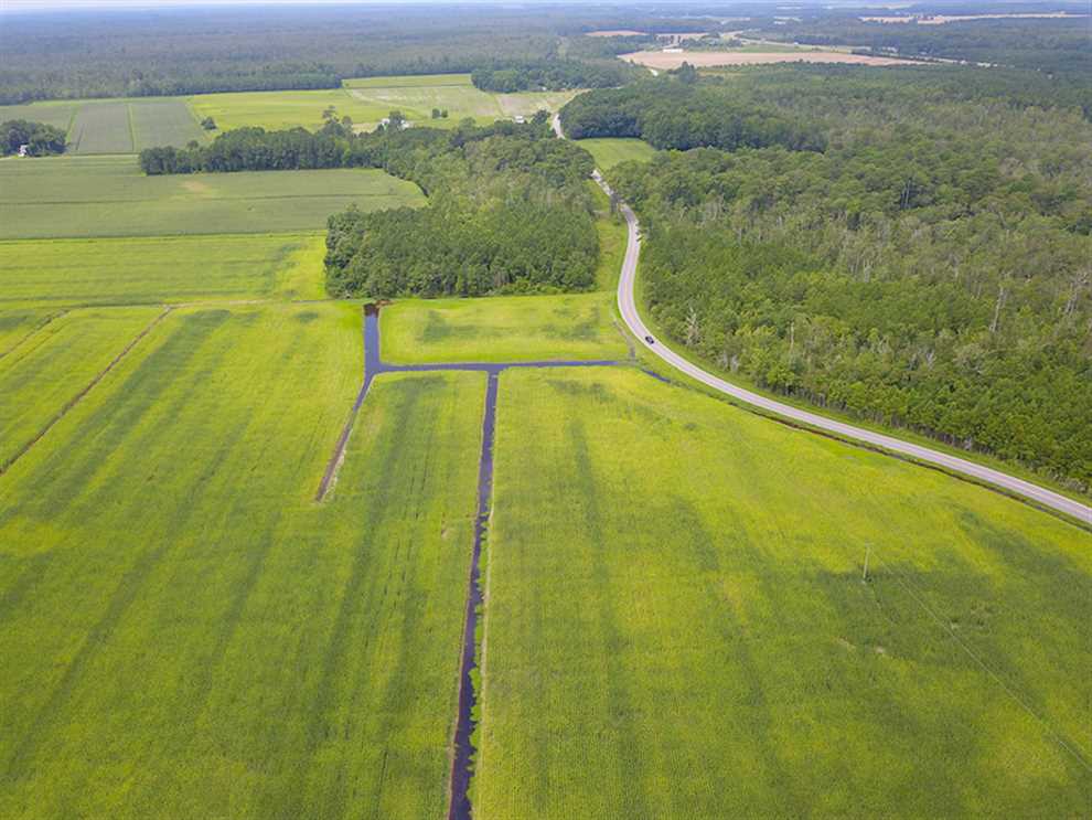 97 Acres of Recreational land for sale in Columbia, tyrrell County, North Carolina