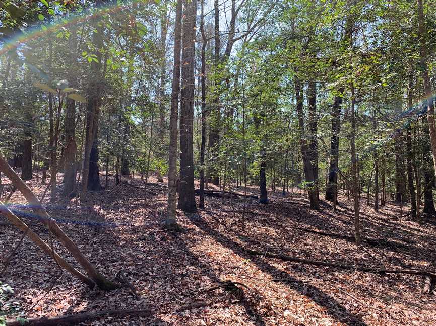 Timberland real estate available to buy