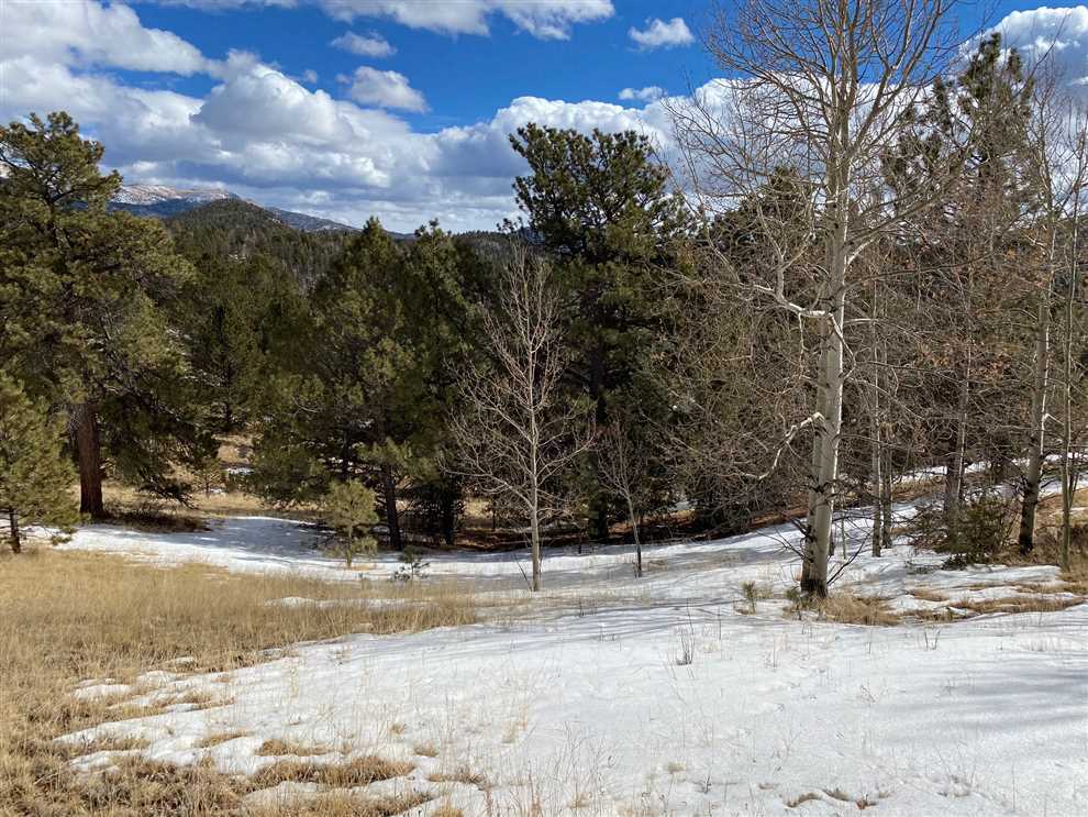 2.29 Acres of Residential land for sale in Cripple Creek, teller County, Colorado