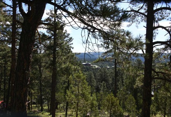 0.58 Acres of Land for Sale in lincoln County New Mexico