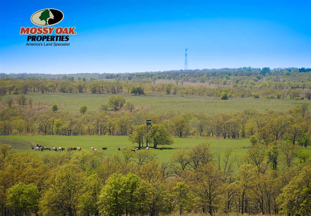 Farmland real estate available to buy