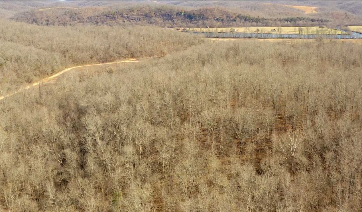 180 Acres of Land for Sale in stone County Arkansas