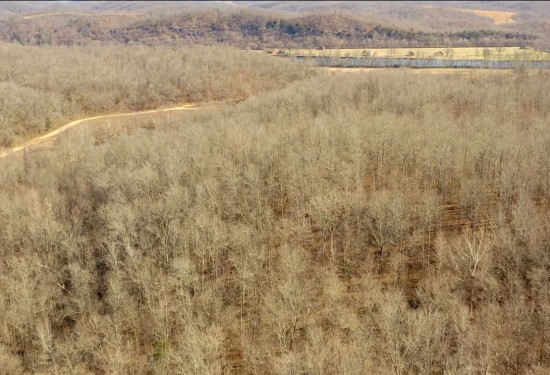 180 Acres of Land for Sale in stone County Arkansas