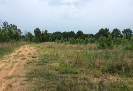 72.66 Acres of Land for Sale in winn County Louisiana