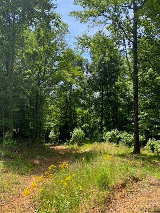 3.1+/-acres wooded property with scenic views of downtown South Pittsburg Real estate listing