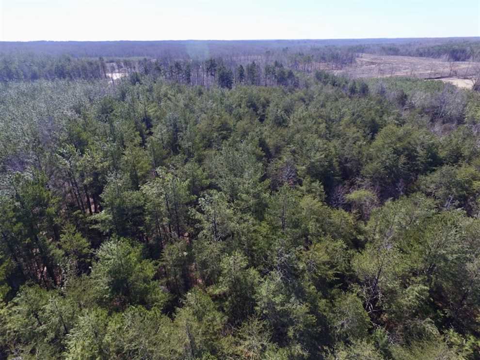 29 acres of Hunting and Recreational Land For Sale in Lunenburg County VA! Real estate listing